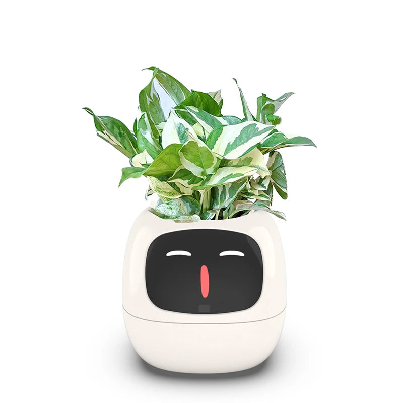 Smarter kleiner Blumentopf