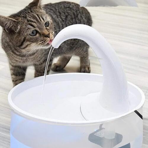 Fontaine à eau pour chat