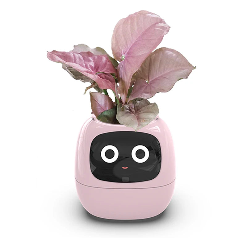 Smarter kleiner Blumentopf