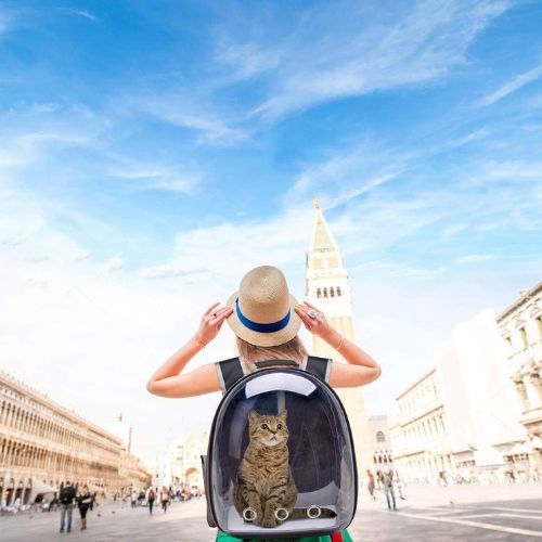 Sac à dos de transport pour chat