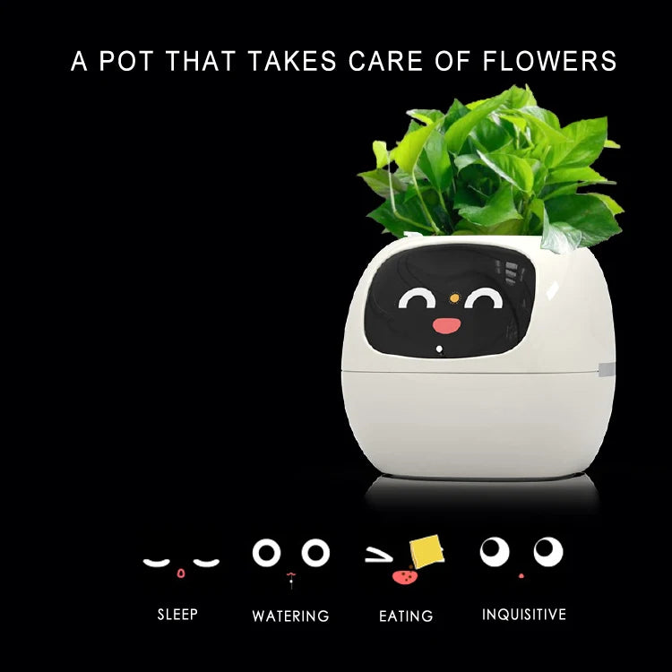Smarter kleiner Blumentopf