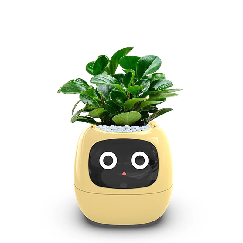Smarter kleiner Blumentopf