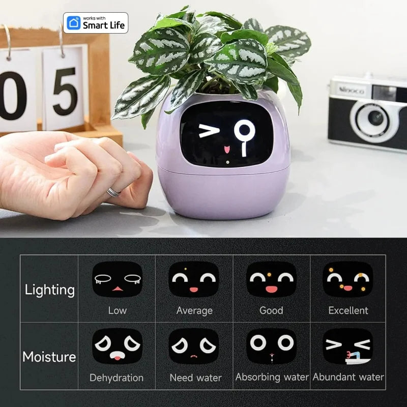 Smarter kleiner Blumentopf