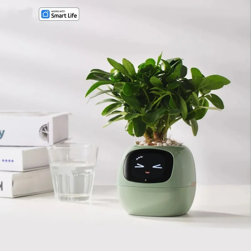 Smarter kleiner Blumentopf