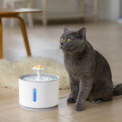 Fontaine à eau automatique pour chat