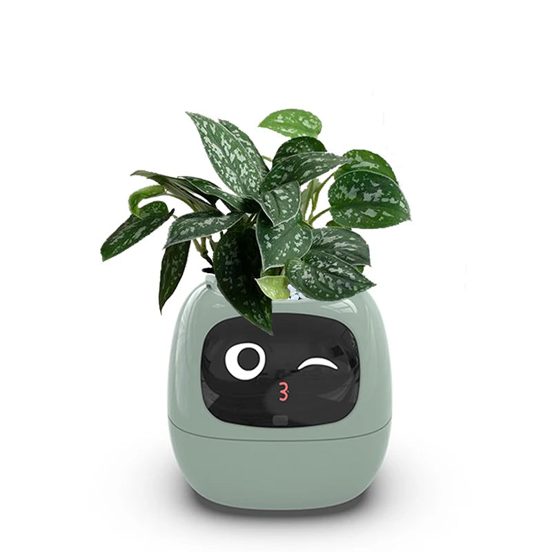Smarter kleiner Blumentopf