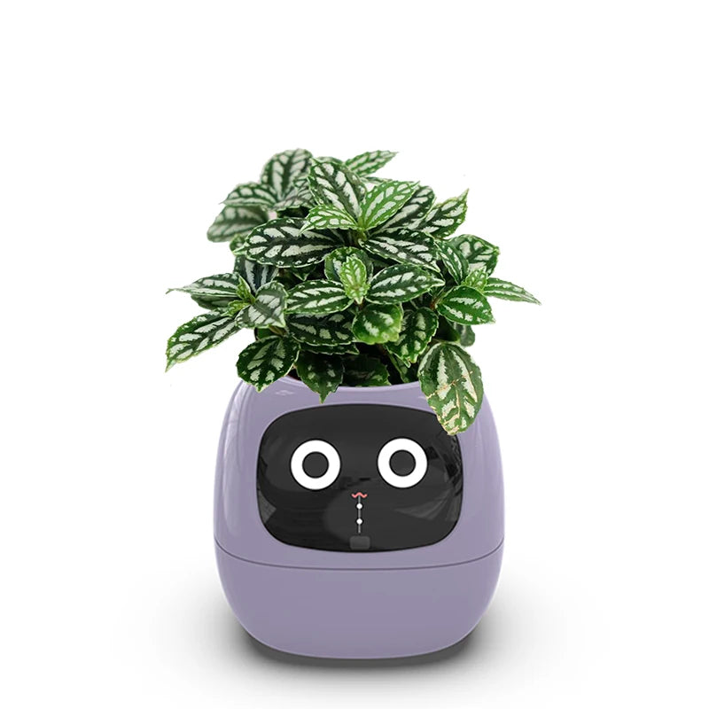 Smarter kleiner Blumentopf