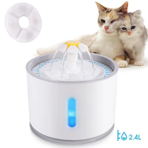 Fontaine à eau automatique pour chat