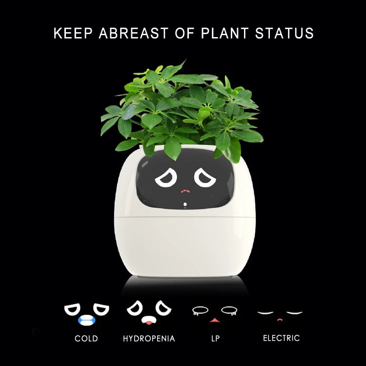 Smarter kleiner Blumentopf
