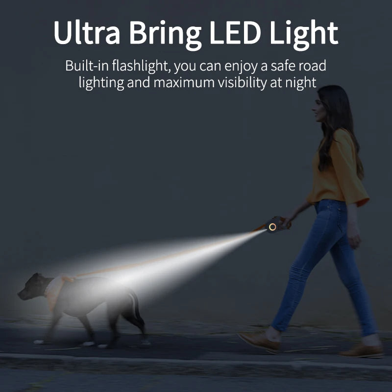 Corde de promenade rétractable et lumineuse pour chien