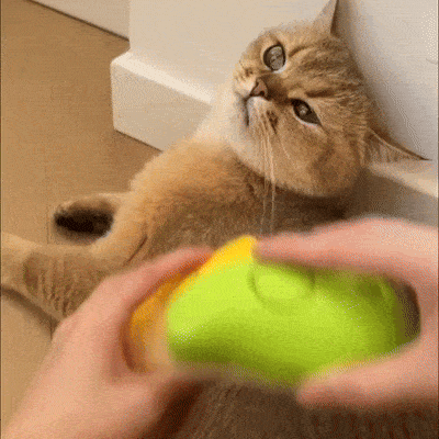 Brosse à vapeur pour chats